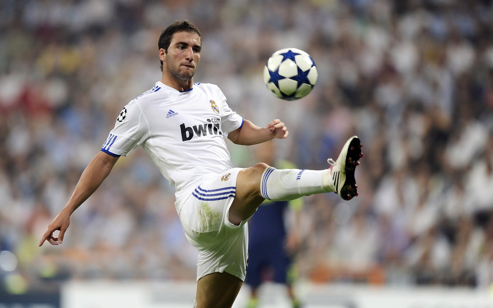 中国足球国家队备战计划进入关键阶段，中国足球队备战情况