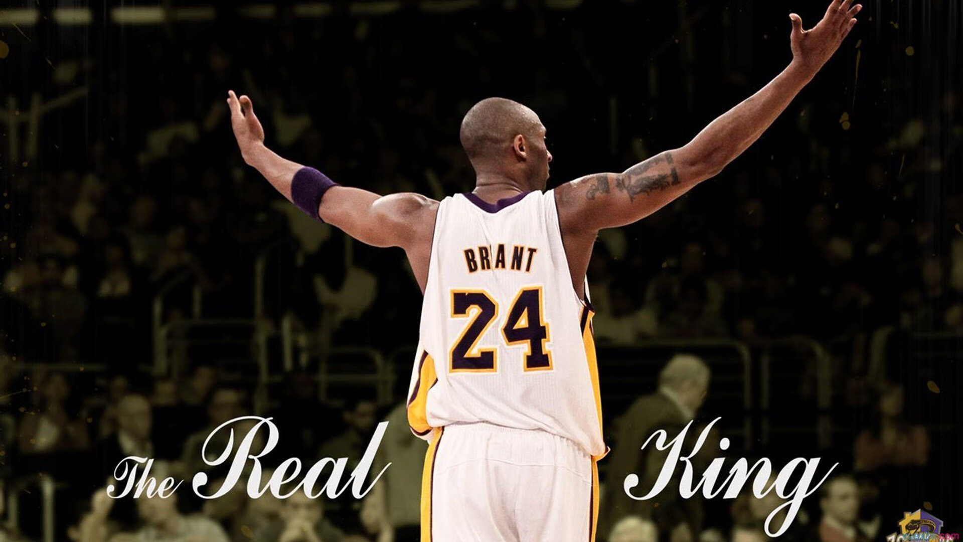 教育家倪闽景：唯有热爱才能点燃孩子的希望，倪闽景简历